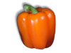 Captcha image 9291