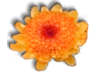 Captcha image 2114